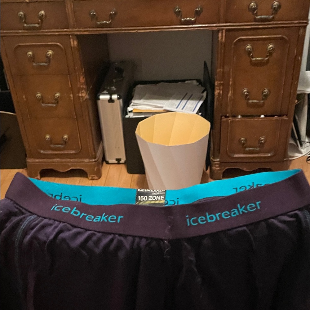 Soft merino purple medium 150 icebreaker leggings worn minimally aqua.lettering